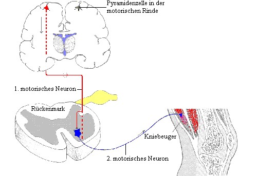 einführung in die