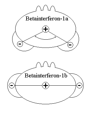 Bild: Betainterferon